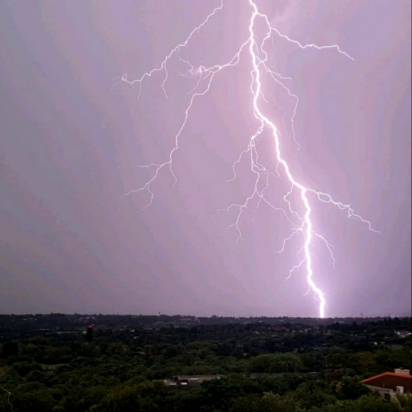 Meet your Posher, Joe - Picture 4 of 5